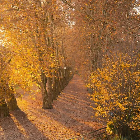 Appartement Riversidesuite-tuebingen